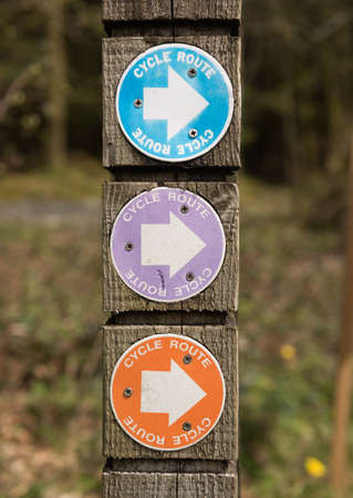 Cycle bicycle route signs on a wooden post in a forest.の写真素材