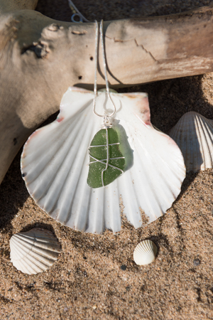 Unique handmade green sea glass jewellery, with a silver chain in a sea shell.の写真素材