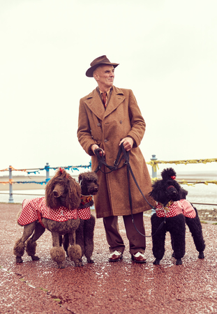 london, england, 05/07/2017 , A retro and well dressed vintage man on a retro seaside promenade, walking a pack of poodle dogs at a vintage nostalgic weekend event fair. Vintage street style.のeditorial素材