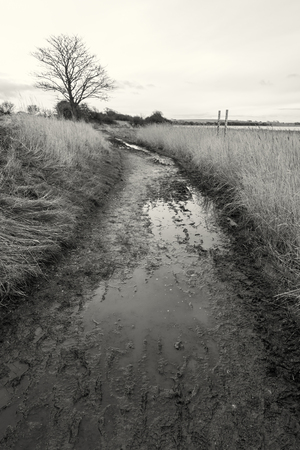 A moody gloomy wet muddy dirt track on a winters day in the countryside in england. Dark, sinister, lonely and depressing pathway. Photographed in black and white.の写真素材