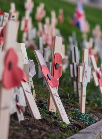 17/11/2018 london, engand, World war two poppy veteran war heroes remembrance day. Poppies and crosses shot with macro with a atmospheric shadow depth of field. War and death. 100 years.のeditorial素材