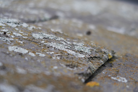 Rough muted colour macro photo of lichen moss growing on old damp roof tile discovered on a house renovation. Detailed close up with a shallow depth of field.の写真素材