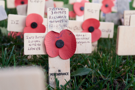 17/11/2018 london, engand, World war two poppy veteran war heroes remembrance day. Poppies and crosses shot with macro with a atmospheric shadow depth of field. War and death. 100 years.のeditorial素材