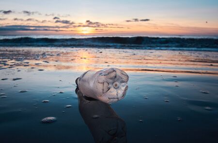 Plastic bottle litter and trash washed up on a sunny sandy luxurious beach destination....