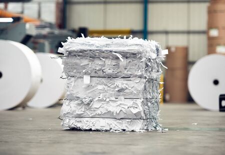 A paper recycling factory plant shredding producing waste paper into square bails, ready to be...