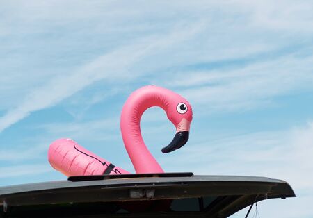 A giant rubber ring pink inflatable flamingo against a beautiful vivid blue summers day sky. Summer swimming apparatus, lifesaving devices and inflatable toys.                           の写真素材