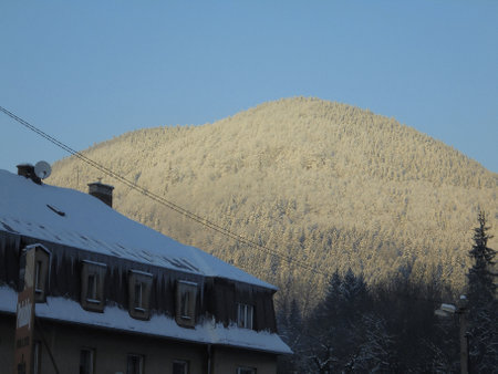 Marvelous winter scenics with large mountain covered by dense coniferous forests coated in white snow, and with large village house in the foreground.の写真素材