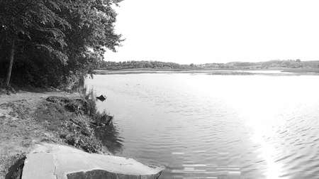 Gray shaded - Image of peaceful shore of pond with tourist path going to the nearby forest, with green nature on the horizon and overexposed sky and water surface.の写真素材