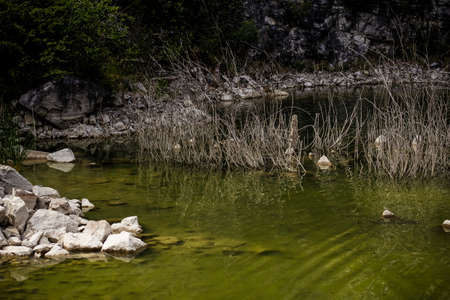Flooded stone quarry with withered grass and green waterの写真素材