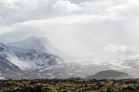 Moss with the Glacier in the distance 2018