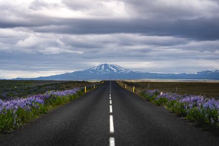 Road to Hekla Volcano July 2018の写真素材