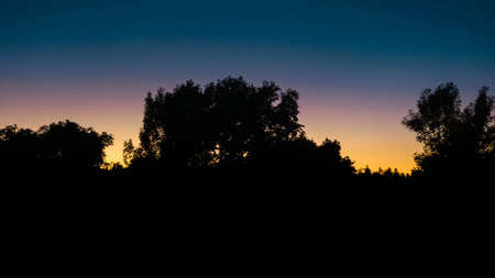 sunset behind the treesの写真素材