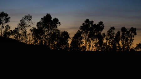 Sunset behind the trees, with an orange sky and some cloudsの写真素材