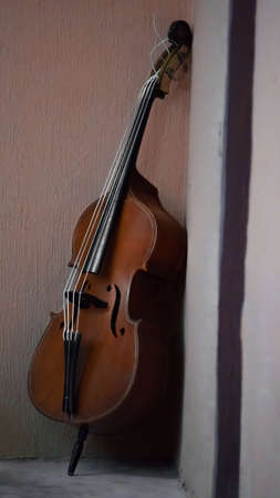 coffee-colored contrabass in the corner of the roomの写真素材