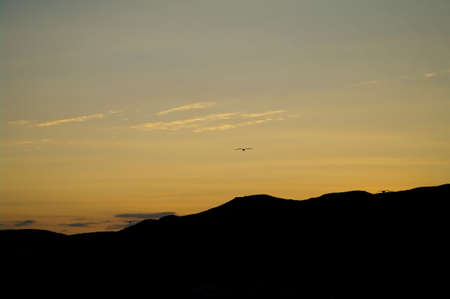 beautiful sunset on the Crimean Mountains with silhouettes of seagullsの写真素材