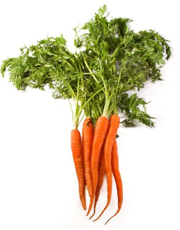 Ripe Organic Carrots over white background. Plenty of copy space.の写真素材