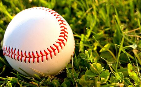 A baseball on the outfield grass backlit by the setting sun.の写真素材