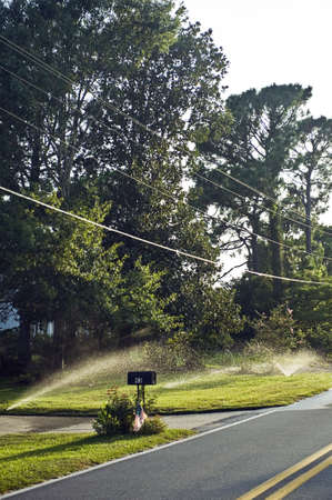 Garden watering next to the roadの写真素材