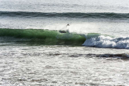 Surfer surfing a breaking wave riding the crest partially engulfed by the flying sprayの写真素材