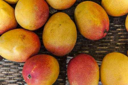 Mangoes in a basketの写真素材