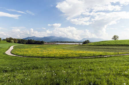 Panorama view over a green meadow and the lake chiemsee の写真素材