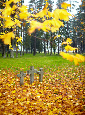 Three tombstone crosses and tree with yellow leaves  Cemetery of German soldiers in Toila, Estonia  Autumn のeditorial素材