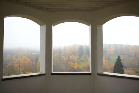 Autumn forest and fog  View from the summerhouse windows  Toila, Estonia の写真素材