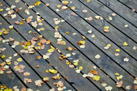 Boards with autumn leaves in the port の写真素材