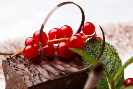 Bunch of fresh ripe red currants and an elegant chocolate swirl on top of a gourmet chocolate dessert garnished with peppermintの写真素材