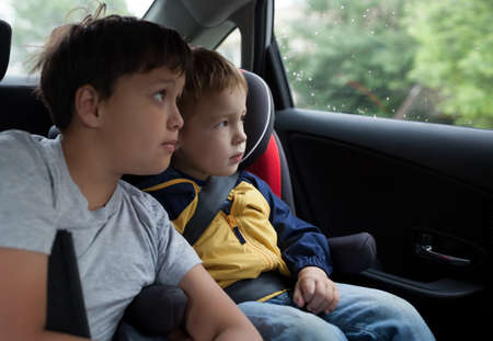 Two boys in the car looking out the window  Little boy sitting in the child safety seatの写真素材