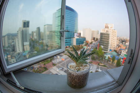 Wide angle shot of city view from the window with a house plant in foreground. Seoul, Republic of Koreaの写真素材