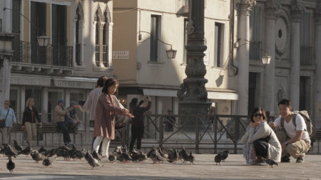 Little Asian girl hand feeding pigeons in Venice, Italyのeditorial素材