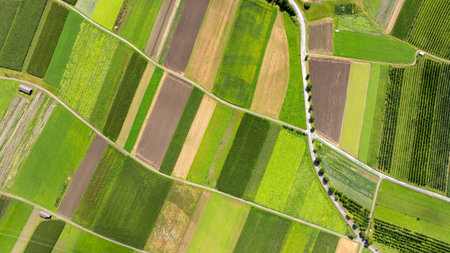 Aerial view of colorful cultivated fields creating a geometric pattern in the countryside of Tyrol,...