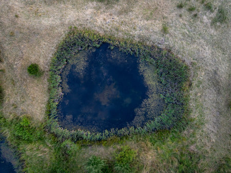 Aerial view of a dark, mysterious pond encircled by green vegetation in a tranquil rural landscape near Rosenbach, Saxony, Germanyの写真素材