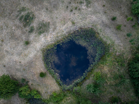 Aerial view of a small, dark pond nestled among dry grass and vegetation in a rural landscape near rosenbach, saxony, Germanyの写真素材