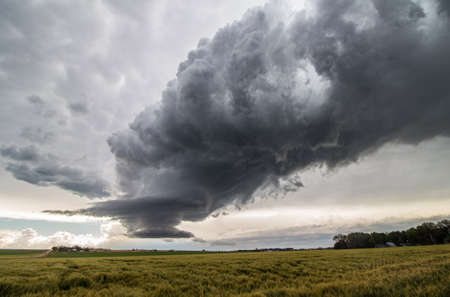 The dying updraft of a supercell thunderstorm creates a strange scene in the sky above a windblown grass field.の写真素材