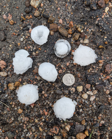 Ice crystals on the ground. Close-up of ice crystals.