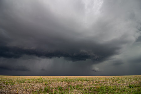 Dramatic stormy sky over corn field. Nature composition.