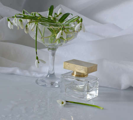 Bouquet from snowdrops and spiritsの写真素材