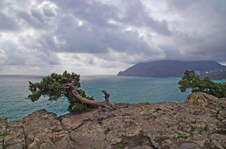 Sea landscape with views of the Crimea Ayudagの写真素材