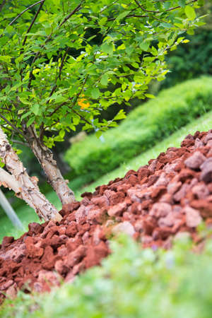 Close up with a shallow depth of field focused on tree in a residential yard show layers of red and green of the landscapingの写真素材