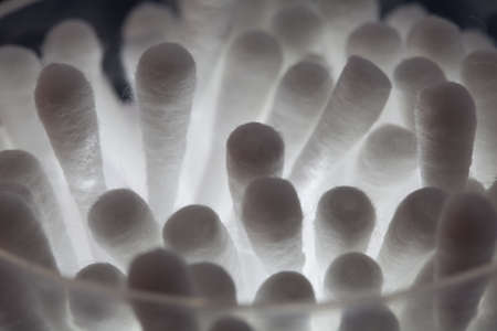 background of cotton sticksの写真素材