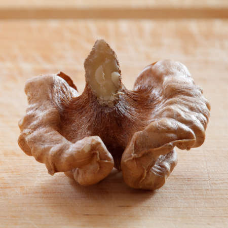 walnut on wooden background. Macro image. Square composition. の写真素材