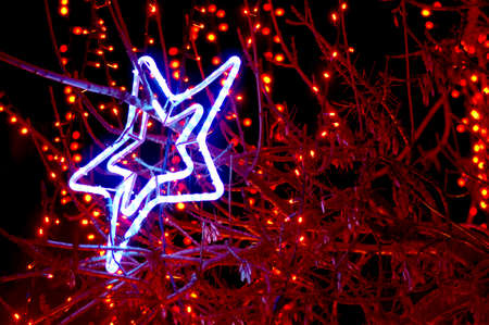 New Year decorated tree in a park. Beautiful holiday illumination close upの写真素材