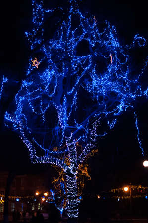 Blue winter illumination in a park with yellow stars.の写真素材