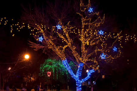 Blue and yellow decorated tree with lights in a park. Holidays illumination.の写真素材