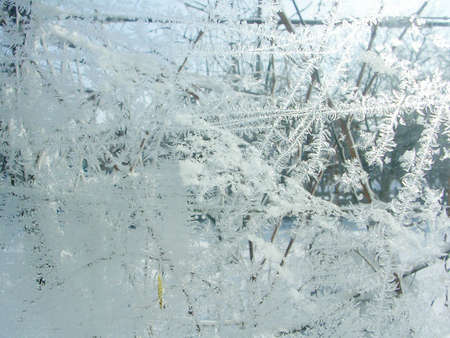 Ice pattern and sunlight on winter glass. Natural frost pattern with abstract lines, stems and snowflakes on the glass close up.の写真素材