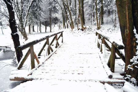 Wooden bridge on a frozen lake in a winter forest. Scenic winter landscape.の写真素材