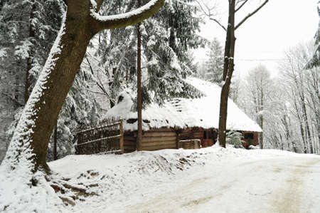 Authentic ukrainian village with wooden huts and fences in winter. Skansen Shevchenkivskyi Hai, Lviv, Ukraine.の写真素材