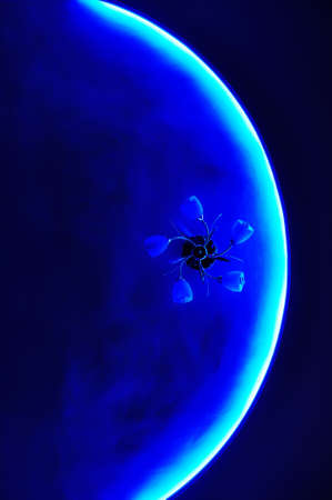 Abstract blue space. Arc blue backlight on the ceiling.の写真素材